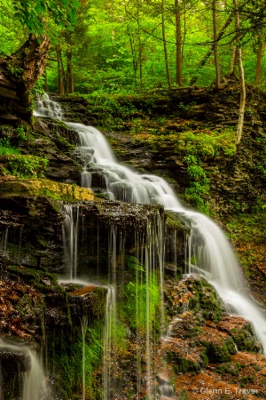 From the Top of Ricketts Glen