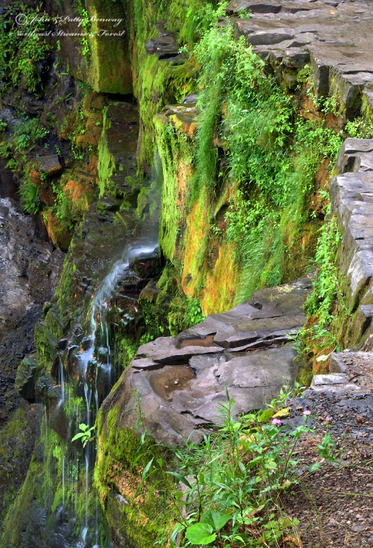 Plotterkill Falls
