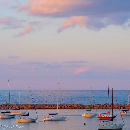 Golden Light at the Marina