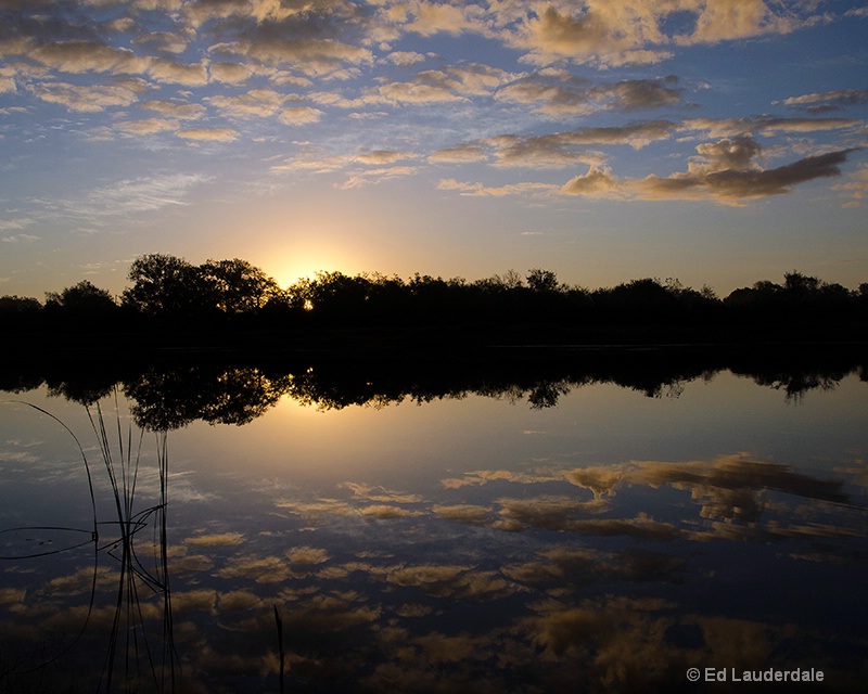 Morning Reflection