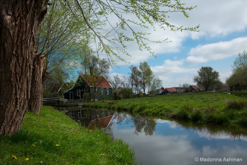 Country Reflections