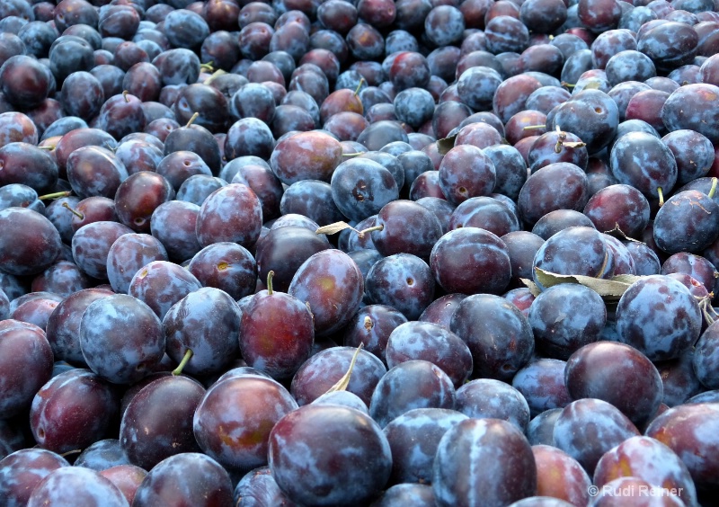 Sea of plum prunes