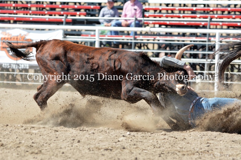 cache burnside uhs oakley f 2015 4 - ID: 14974231 © Diane Garcia