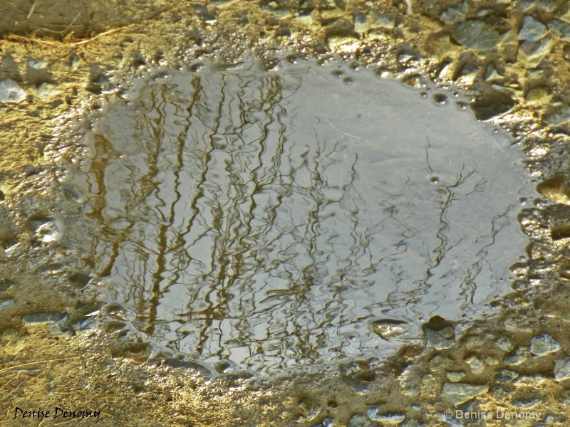 THE PUDDLE