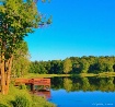 This is a picture...