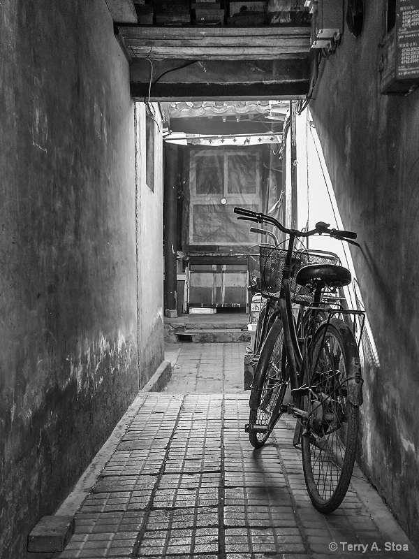 Bicycle in Shadows