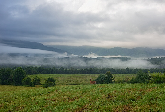 Cades Cove View 3 - ID: 14976401 © Donald R. Curry