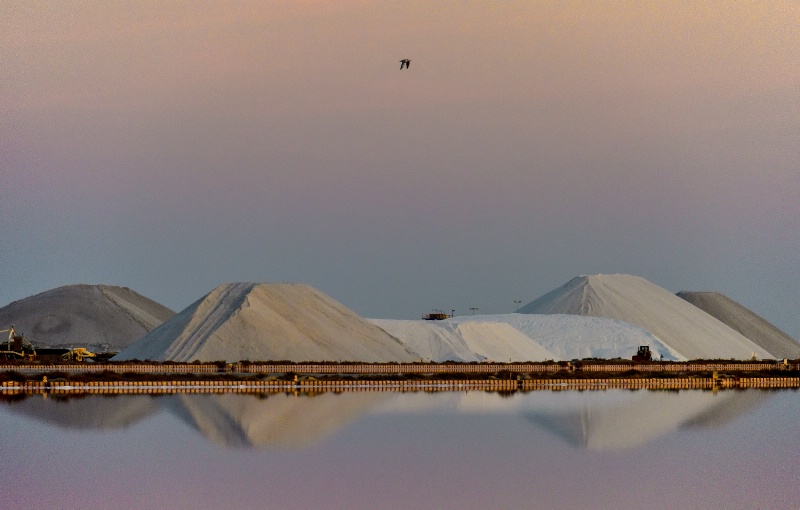 Les salines