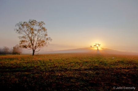 Sunrise at Tea Gardens.