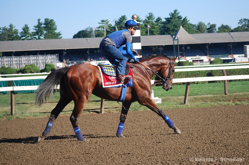 American Pharoah II