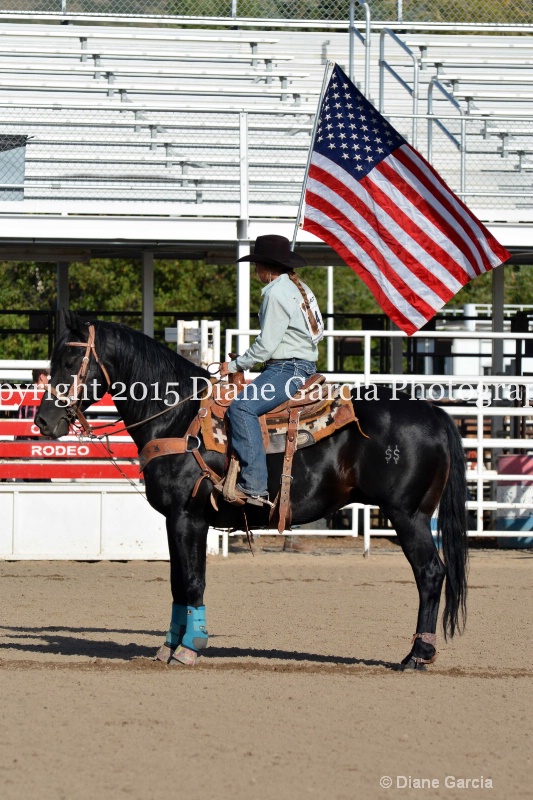 uhs rodeo oakley 2015 misc 15 - ID: 14979129 © Diane Garcia