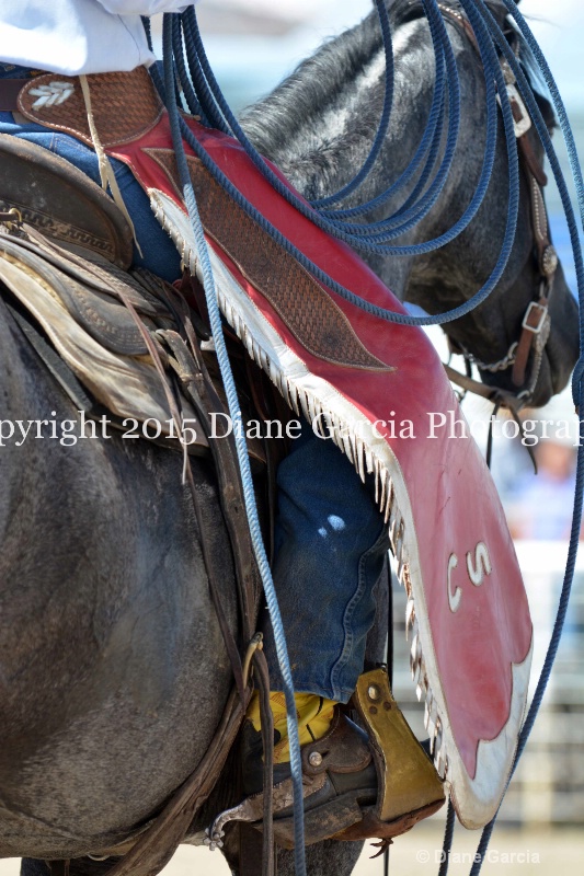 uhs rodeo oakley 2015 misc 13 - ID: 14979131 © Diane Garcia