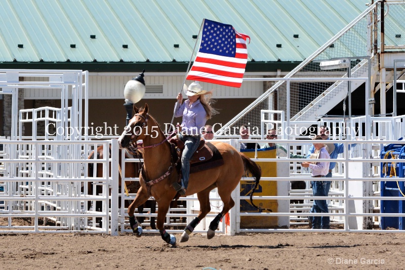 uhs rodeo oakley 2015 misc 11 - ID: 14979133 © Diane Garcia