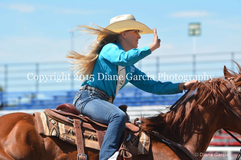 uhs rodeo oakley 2015 misc 5 - ID: 14979141 © Diane Garcia