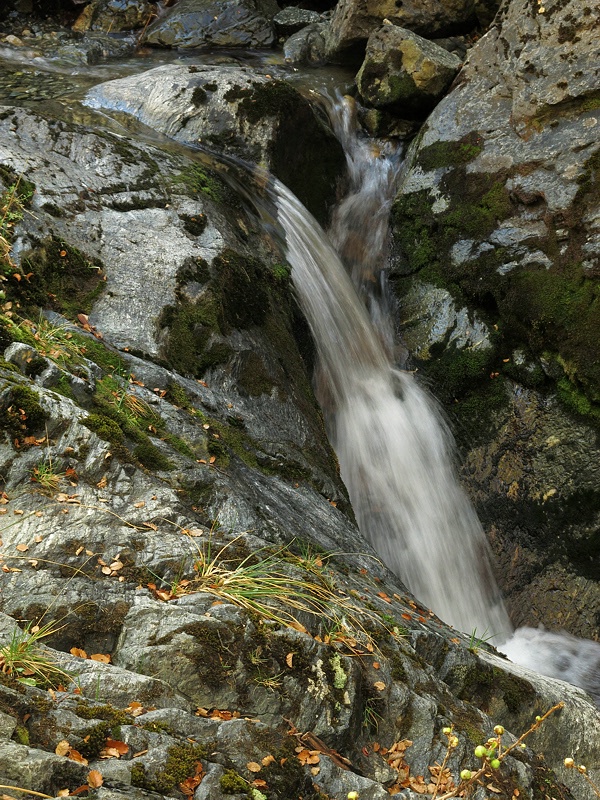 img20