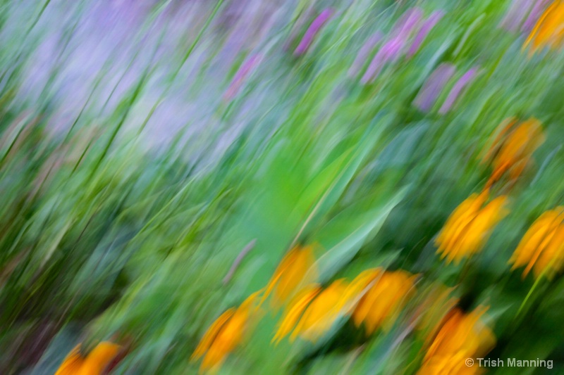 Field of flowers -  abstract...