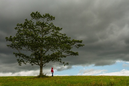 Shelter from the Storm