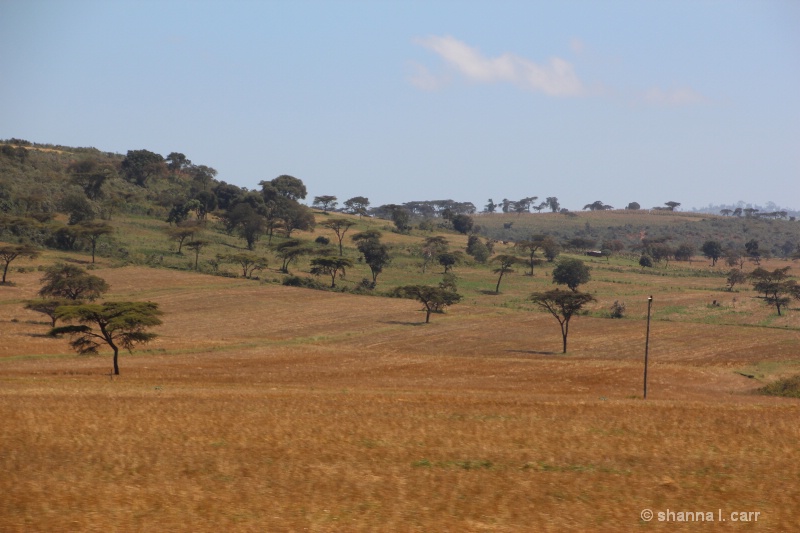 Northern Serengeti Plains