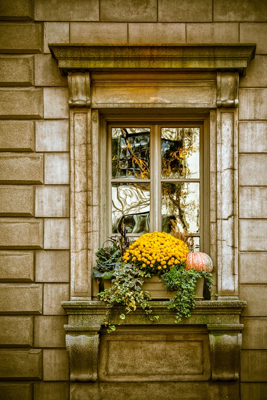 Window to Autumn
