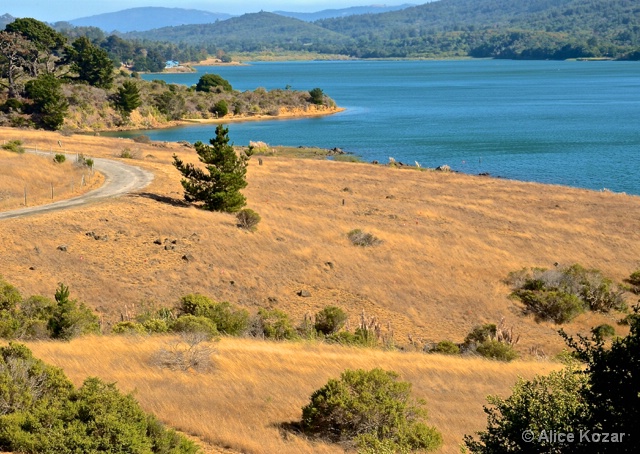 Crystal Springs Reservoir  Bright afternoon Light