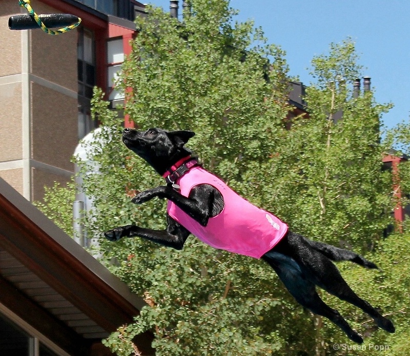 Lilly flies at Copper Mountain