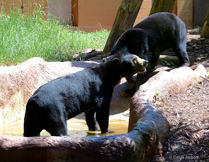 Cool Down - ID: 14985464 © Emile Abbott