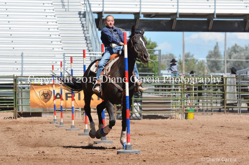 allison shields 5th and under nephi 2015 2 - ID: 14985680 © Diane Garcia