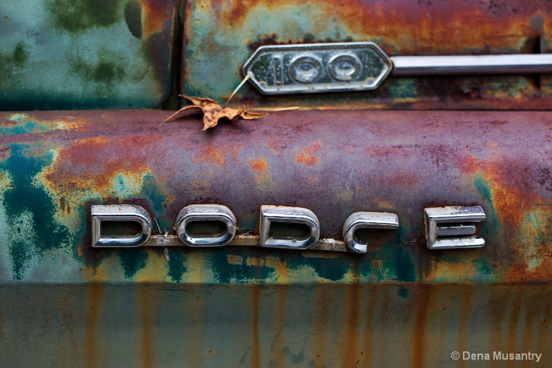 Dodge 100