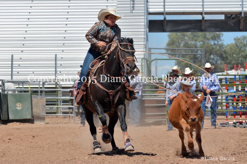 charli sanderson 5th and under nephi 2015 12 - ID: 14986168 © Diane Garcia