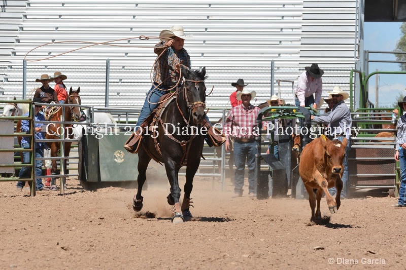 charli sanderson 5th and under nephi 2015 11 - ID: 14986169 © Diane Garcia