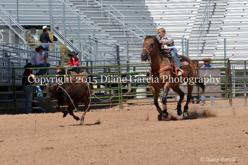 britt bradford 5th and under nephi 2015 9 - ID: 14986172 © Diane Garcia