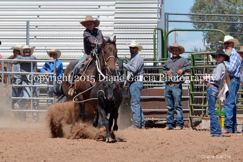 bridger crandall 5th and under nephi 2015 12 - ID: 14986173 © Diane Garcia