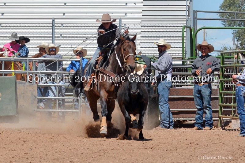 bridger crandall 5th and under nephi 2015 11 - ID: 14986174 © Diane Garcia