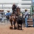 © Diane Garcia PhotoID# 14986174: bridger crandall 5th and under nephi 2015 11