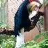 © Emile Abbott PhotoID # 14986620: Male Wreathed Hornbill