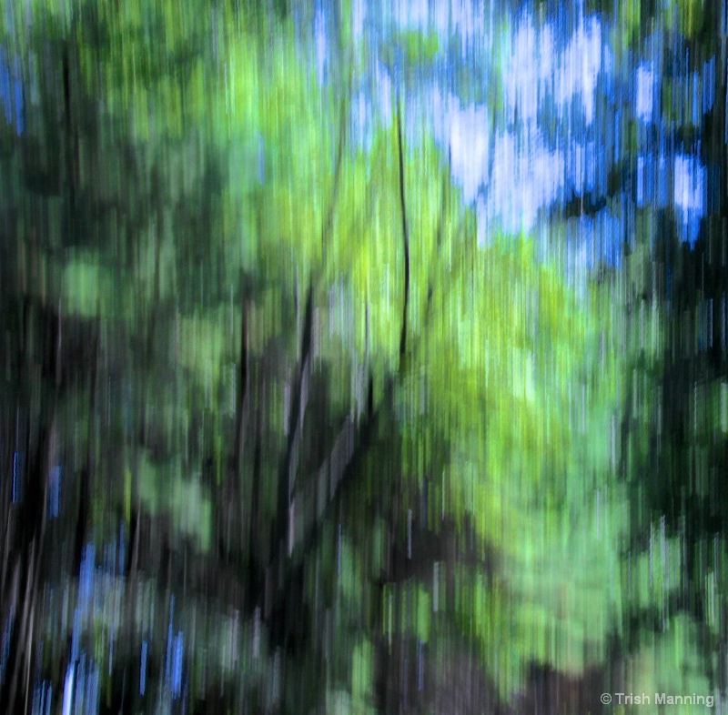 Abstract - Trees along the River