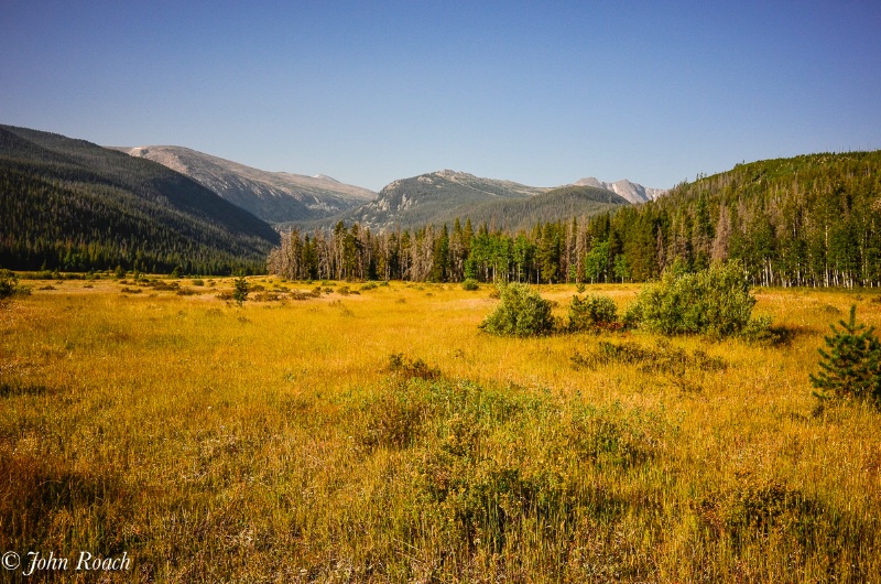 Golden Valley in the Rockies - ID: 14987856 © John D. Roach