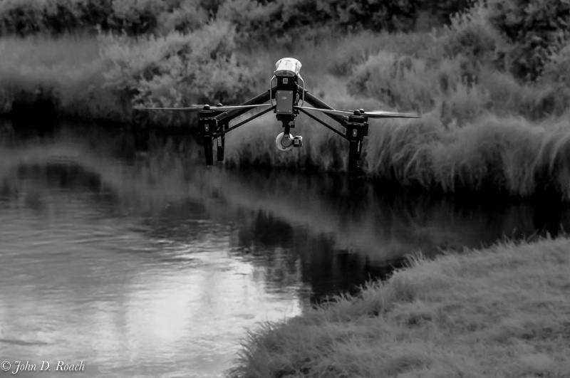 Drone of the Marsh - ID: 14988642 © John D. Roach