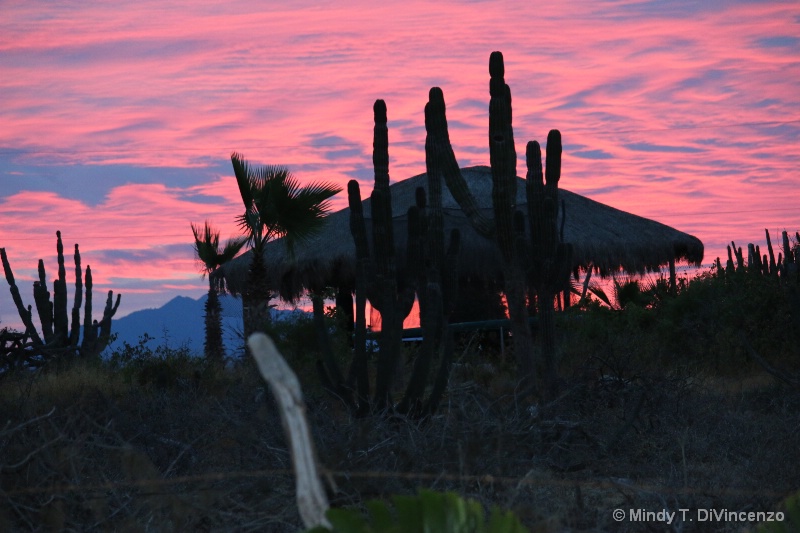 Baja Sunrise