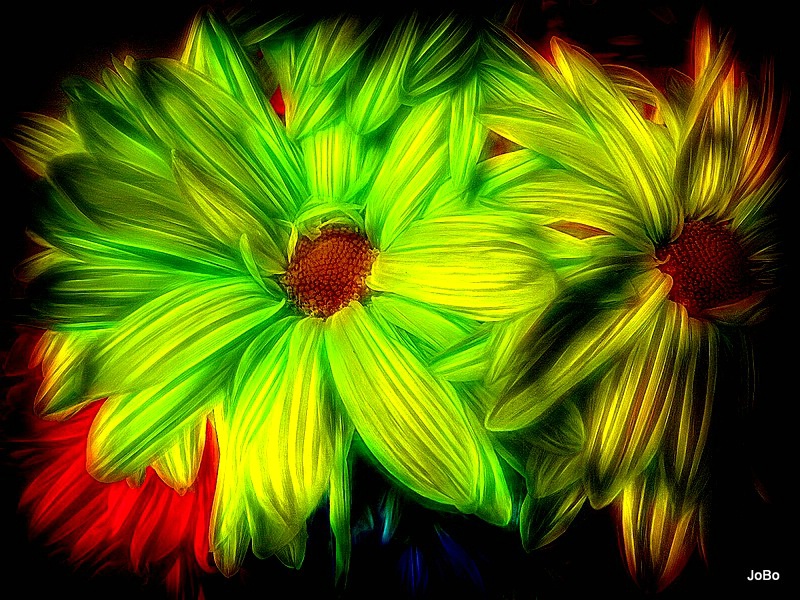 Painted Daisies--Redo