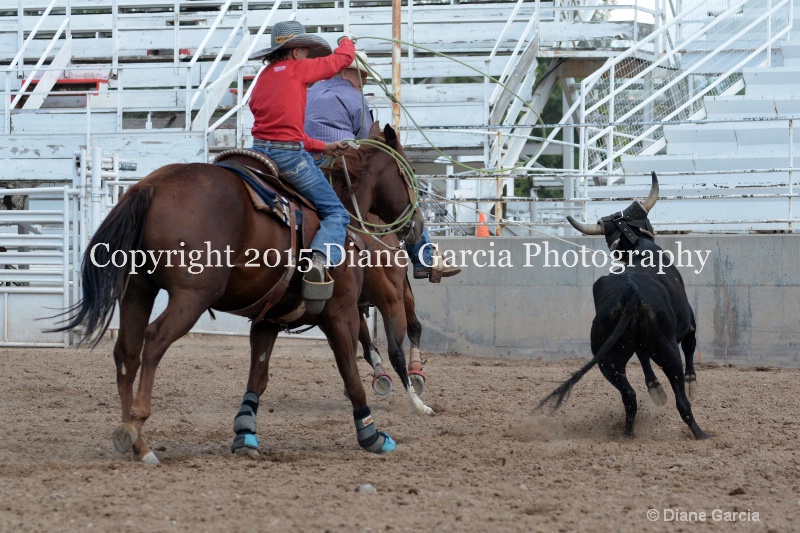kesler riding 5th and under nephi 2015 25 - ID: 14990495 © Diane Garcia