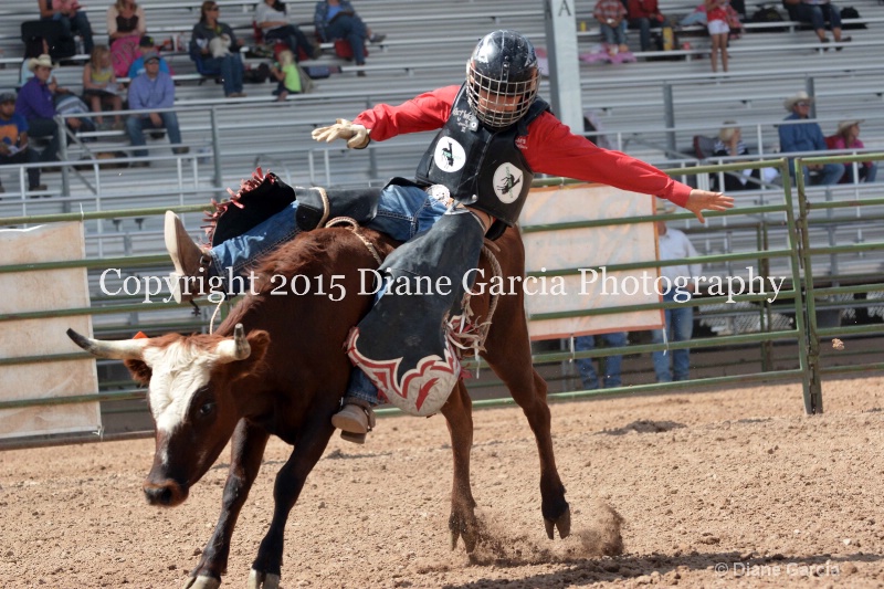 kesler riding 5th and under nephi 2015 23 - ID: 14990497 © Diane Garcia