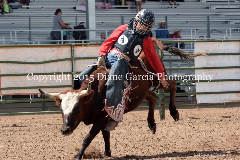 kesler riding 5th and under nephi 2015 22 - ID: 14990498 © Diane Garcia