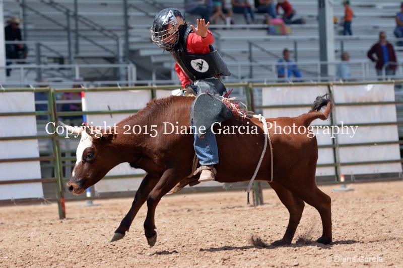 kesler riding 5th and under nephi 2015 21 - ID: 14990499 © Diane Garcia
