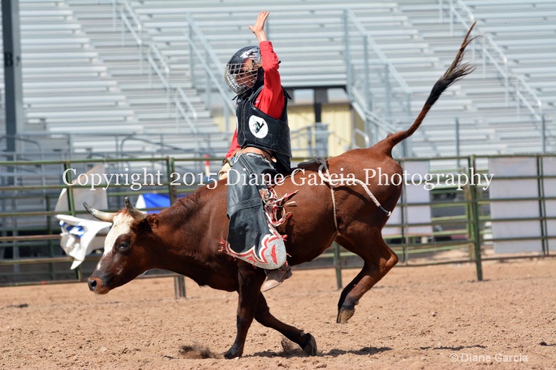 kesler riding 5th and under nephi 2015 20 - ID: 14990500 © Diane Garcia