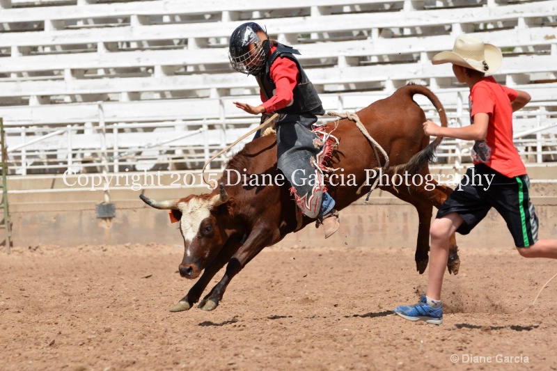 kesler riding 5th and under nephi 2015 17 - ID: 14990503 © Diane Garcia