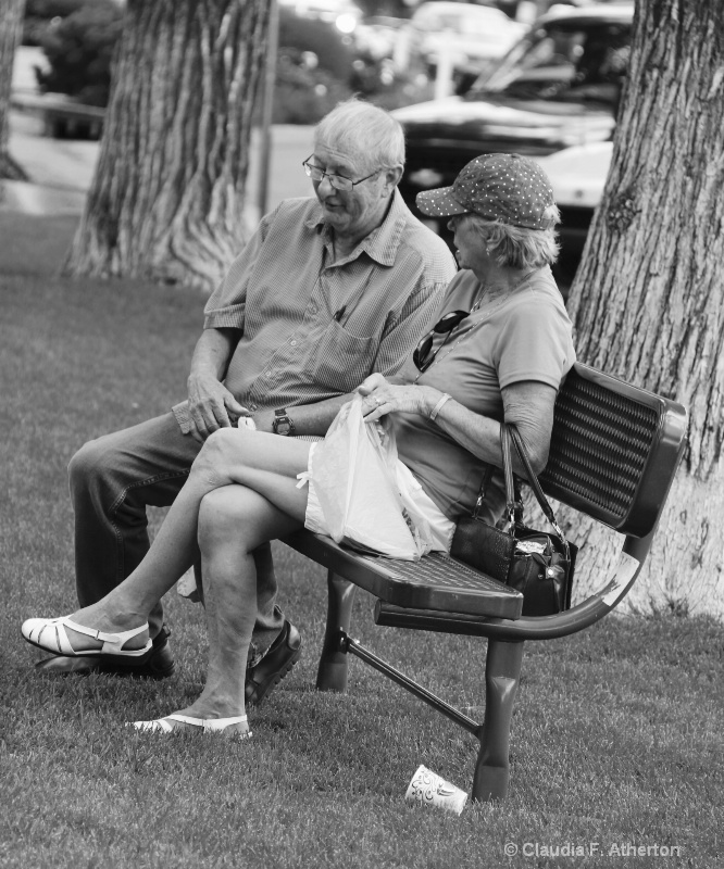 An Afternoon in the Park
