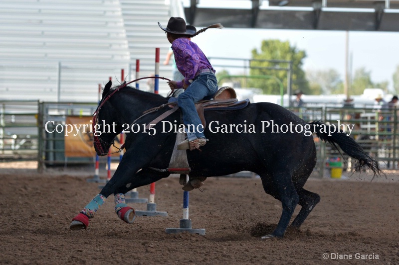 brynnlee allred jr high rodeo nephi 2015 3 - ID: 14991712 © Diane Garcia