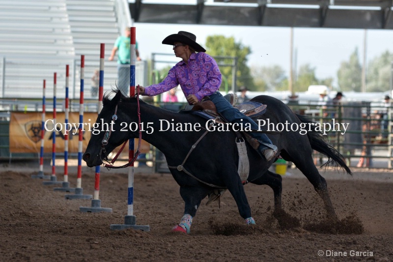 brynnlee allred jr high rodeo nephi 2015 2 - ID: 14991713 © Diane Garcia