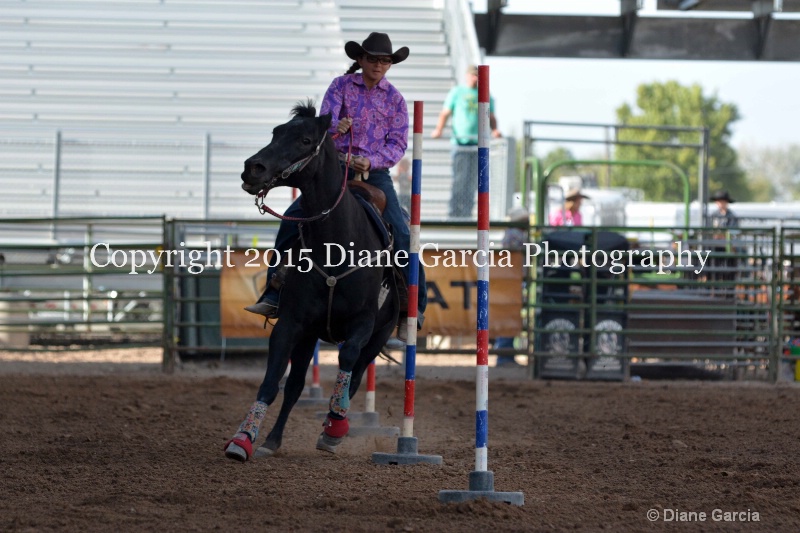 brynnlee allred jr high rodeo nephi 2015 1 - ID: 14991714 © Diane Garcia